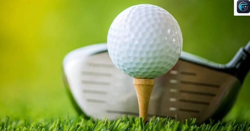 10 Golf Tees
