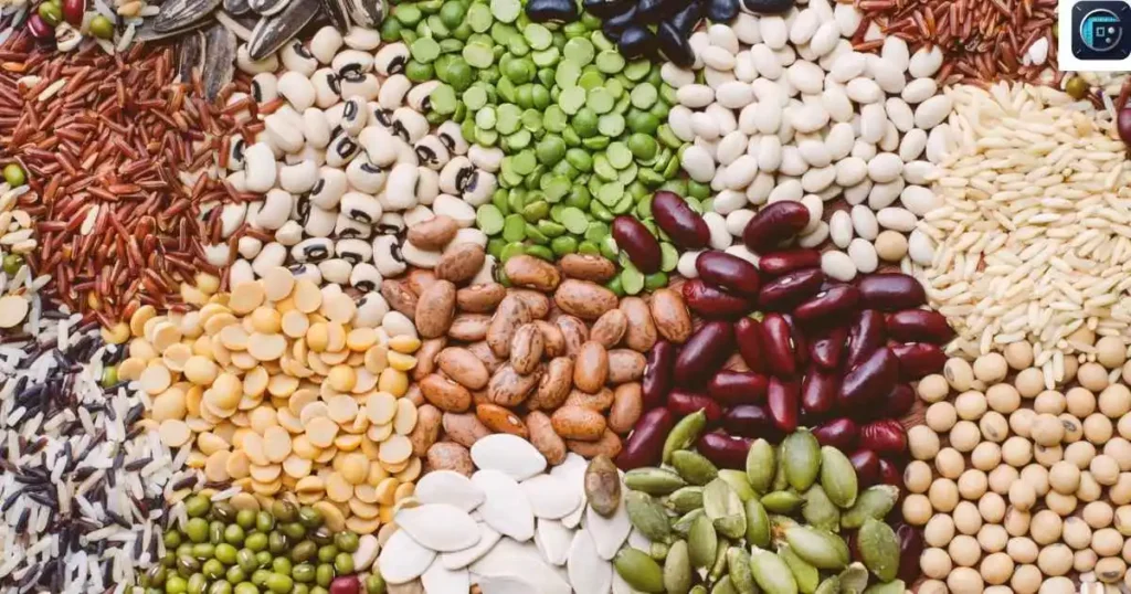 Seeds
