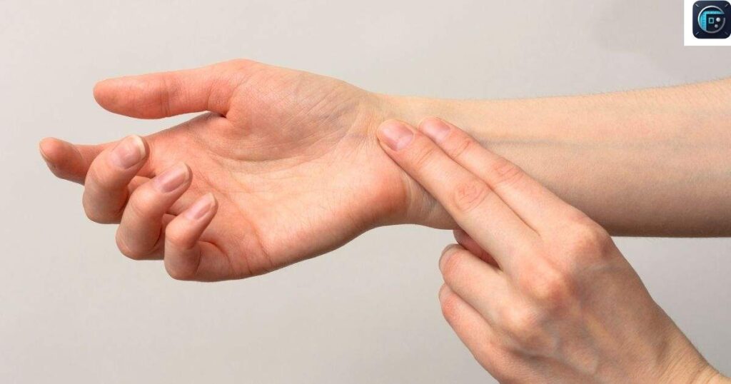 Average Adult Hand
