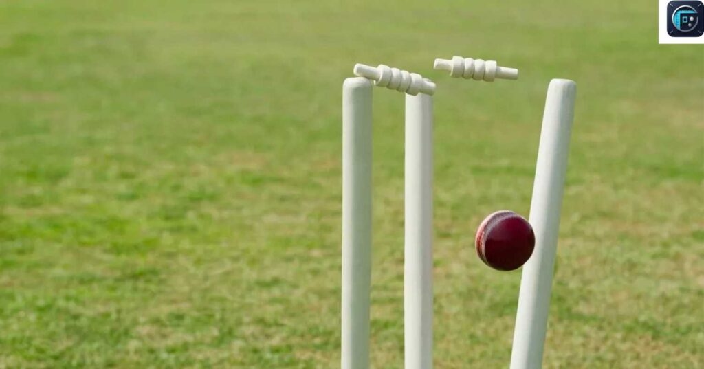 Cricket Pitches
