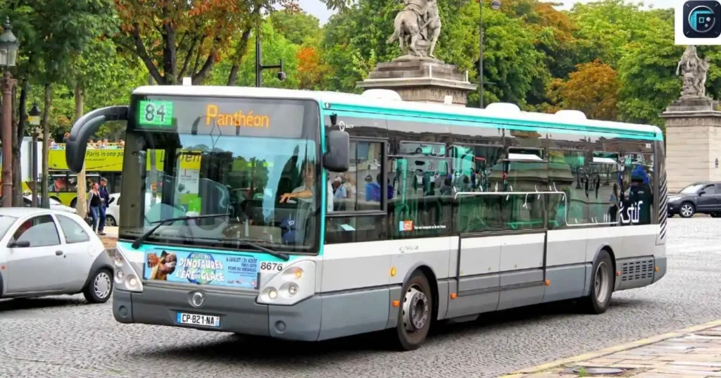 Standard City Bus