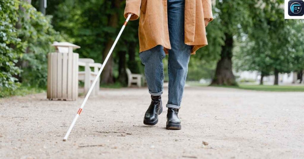 Standard Walking Cane
