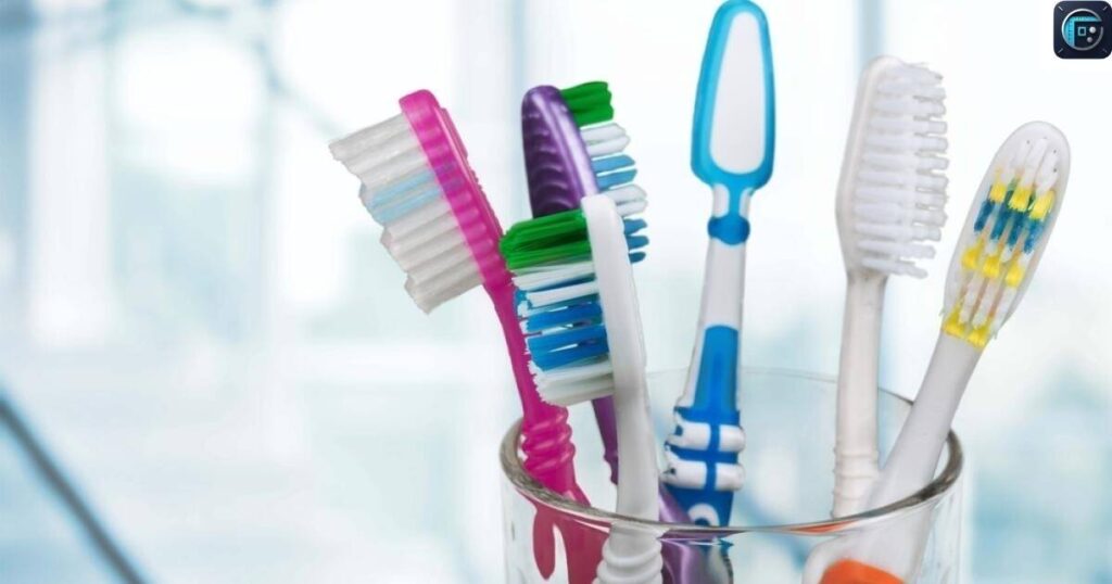 Toothbrush
