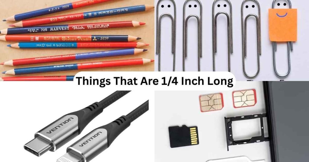 1/4 Inch Long
