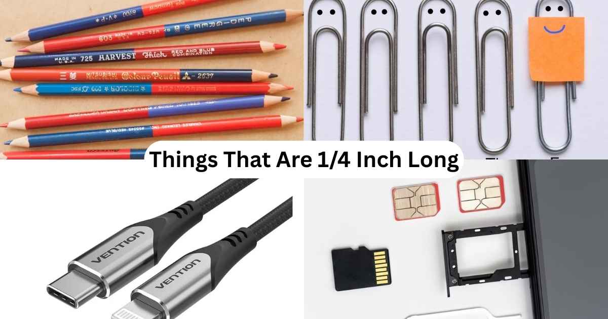 1/4 Inch Long