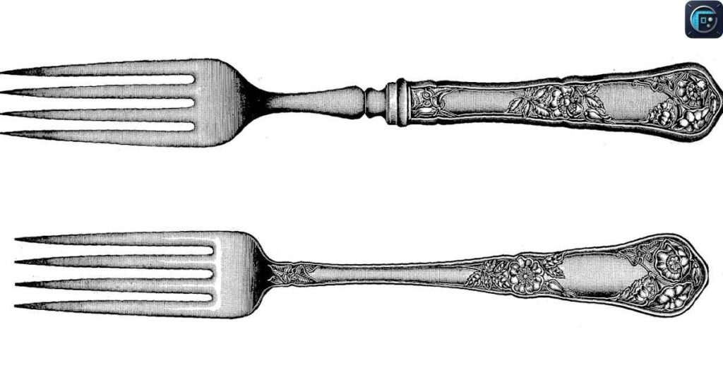  Fork
