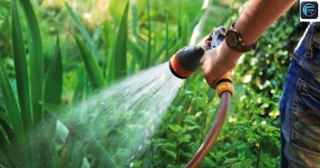 A Garden Hose
