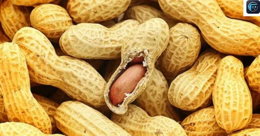  A Large Peanut
