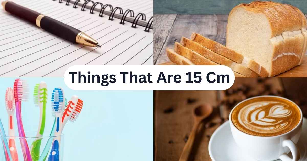 How Big Is 15 Cm