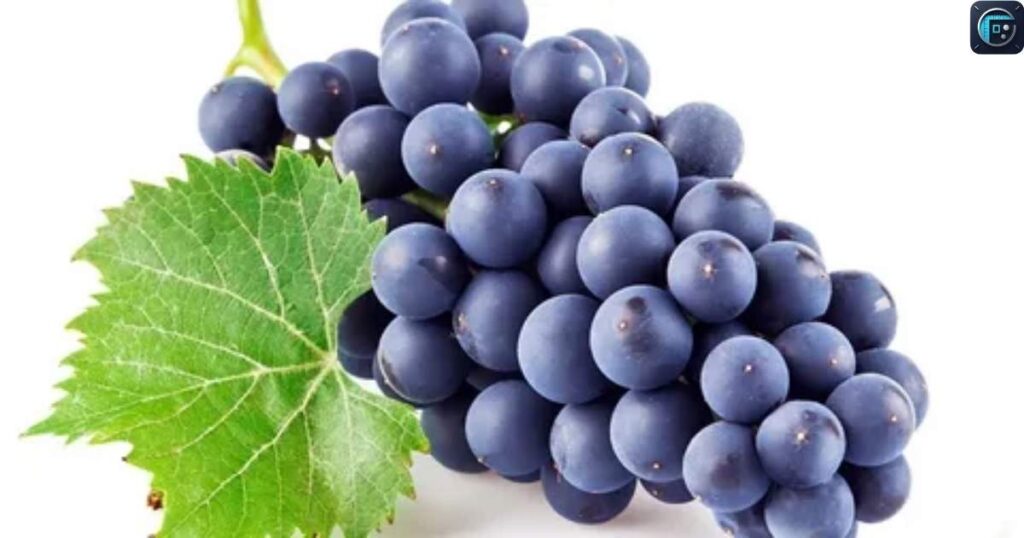 Diameter of a Small Grape
