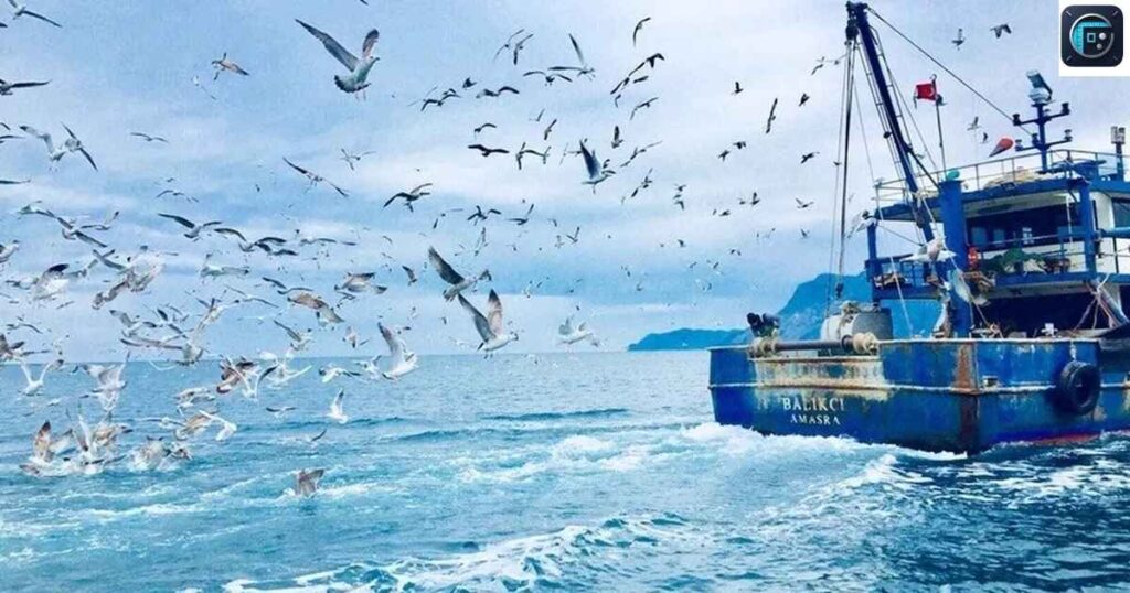  Fishing Boat

