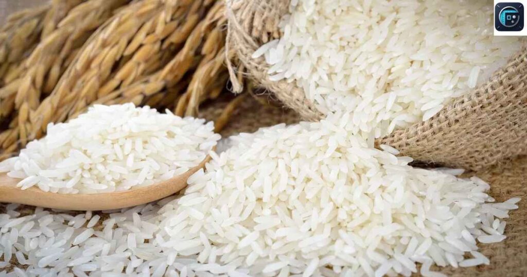 Grain of Dry White Rice