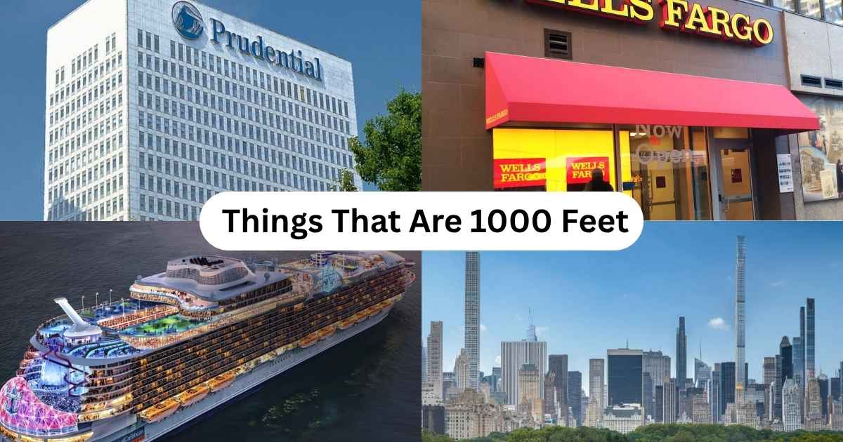 How Big Is 1000 Square Feet