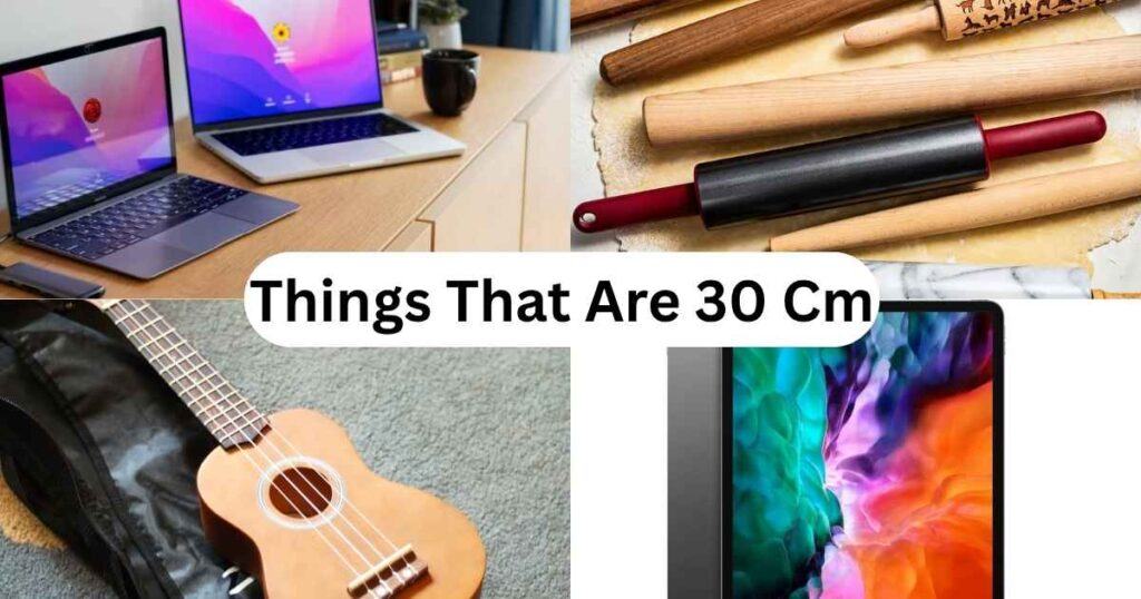 How Big Is 30 Cm