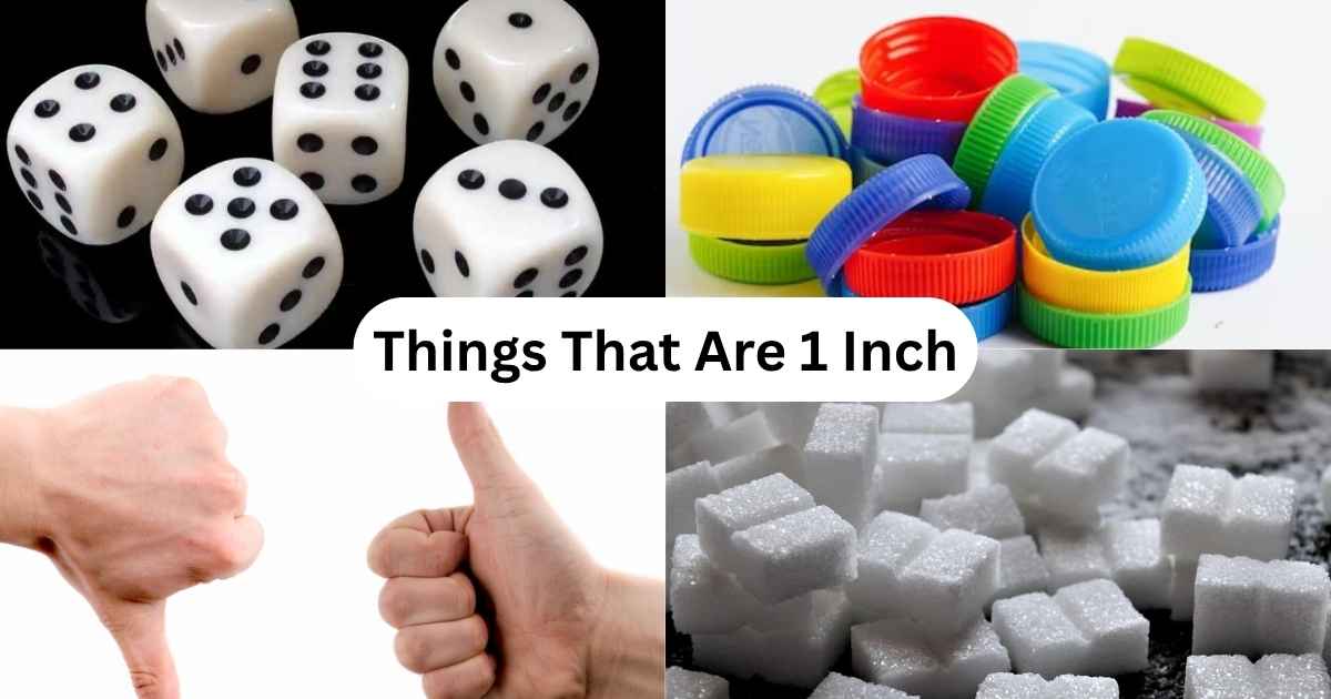 How Long Is 1 Inch