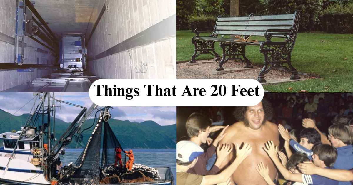 How Long Is 20 Feet