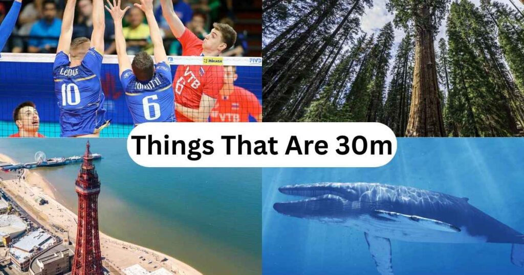 How Long Is 30m