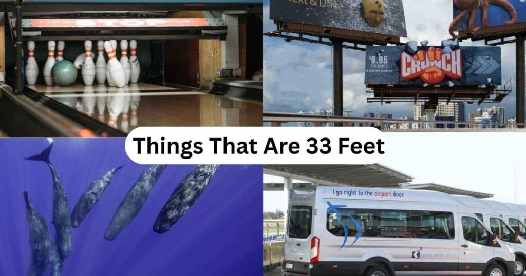 How Long Is 33ft