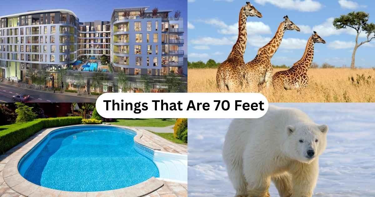 How Long Is 70 Feet