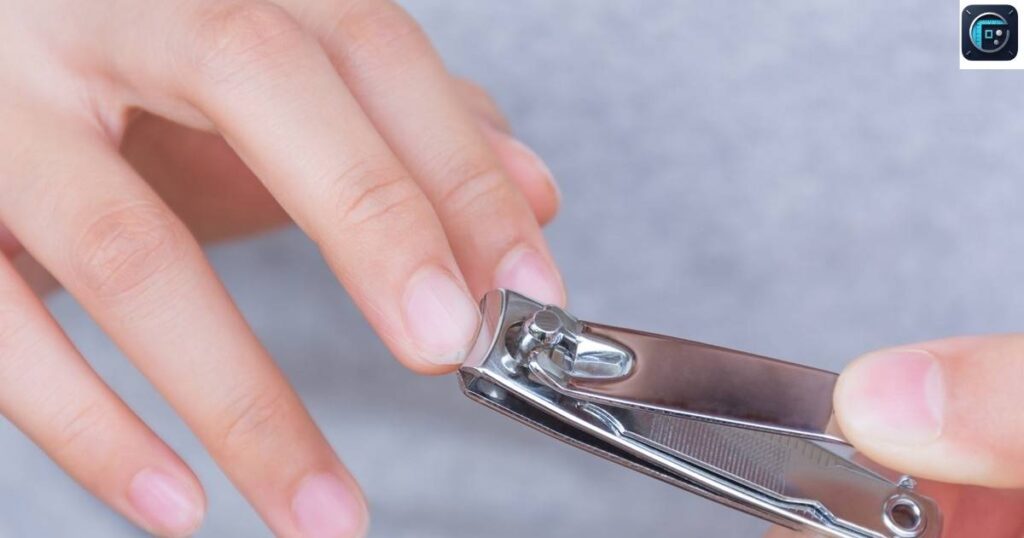 Length of a Typical Nail Clipper
