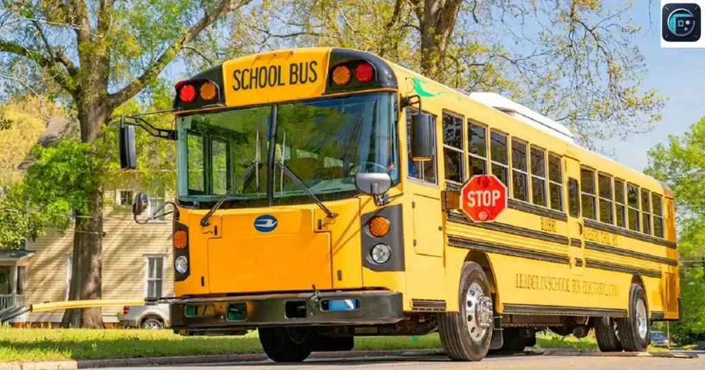 School Bus (Small Size)