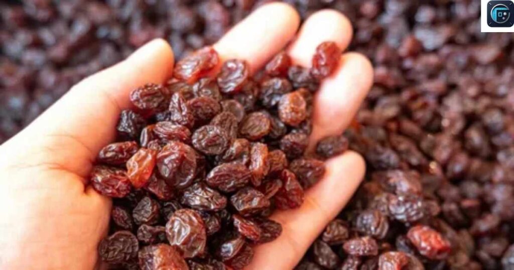 Small Raisin
