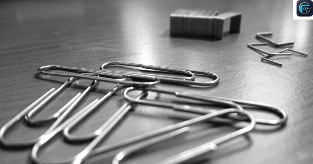 Standard Paperclip