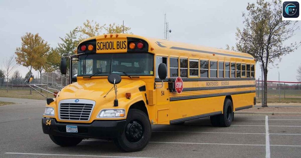 Standard School Bus