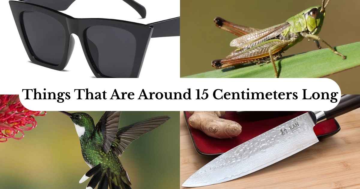 15 centimeters