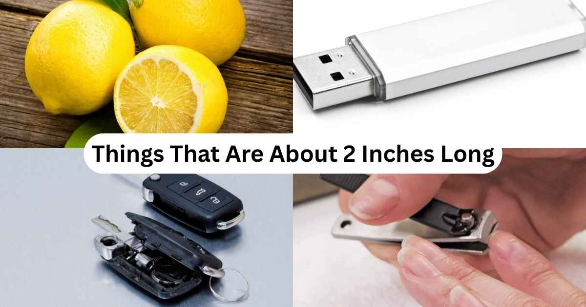 2 Inches