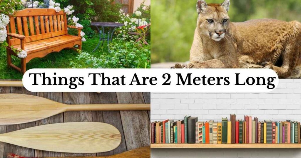 2 Meters