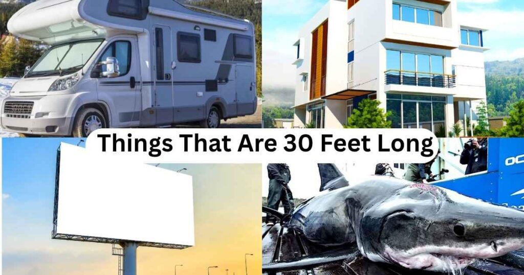 30 Feet​