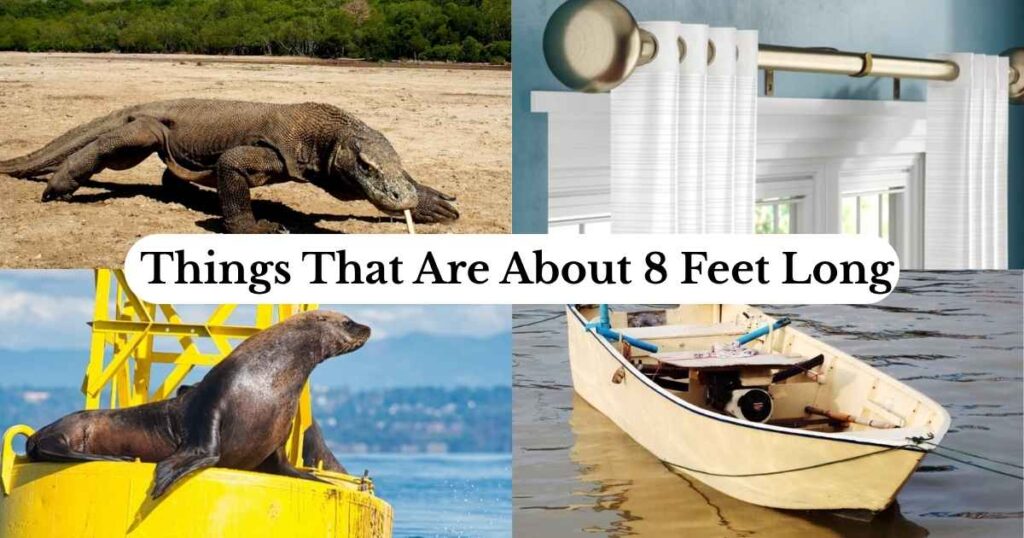 8 Feet