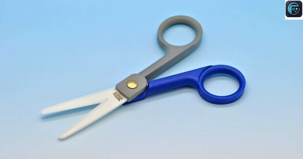 A Pair of Scissors
