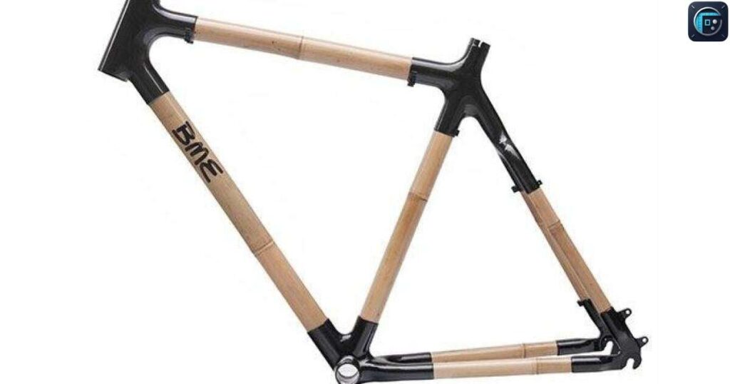 Adult Bicycle Frame
