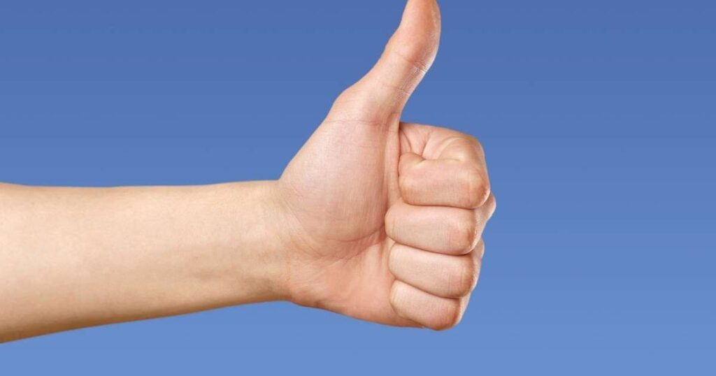 Adult Thumb
