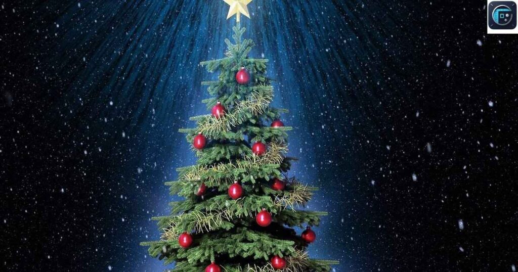 Christmas Tree
