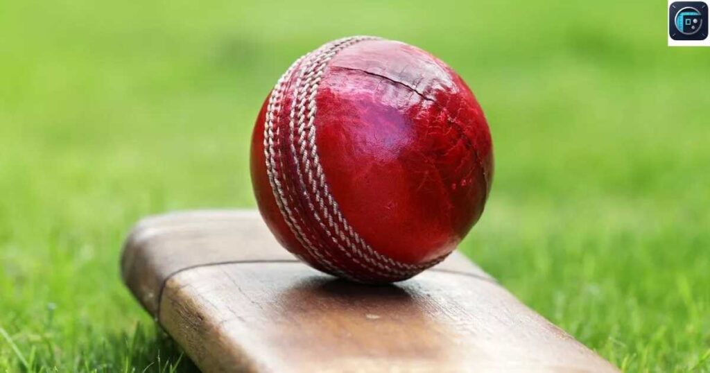Cricket Ball
