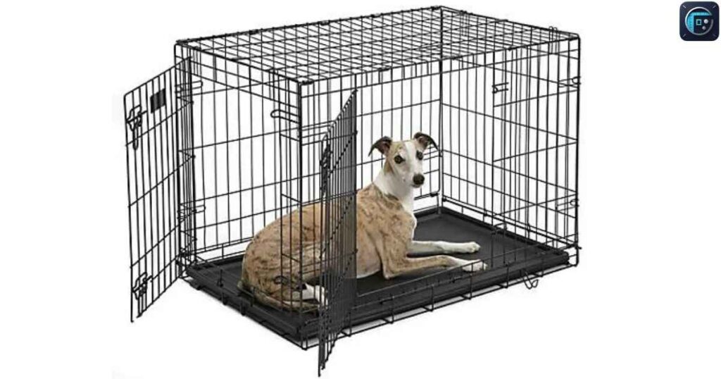 Dog Crate
