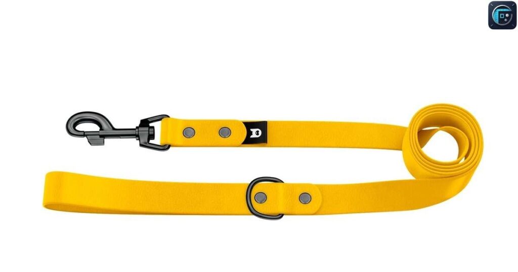 Dog Leash Handle Loop