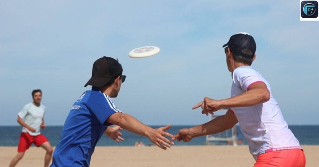 Frisbee (Large)
