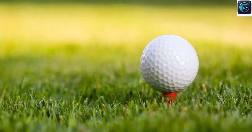 Golf Tee