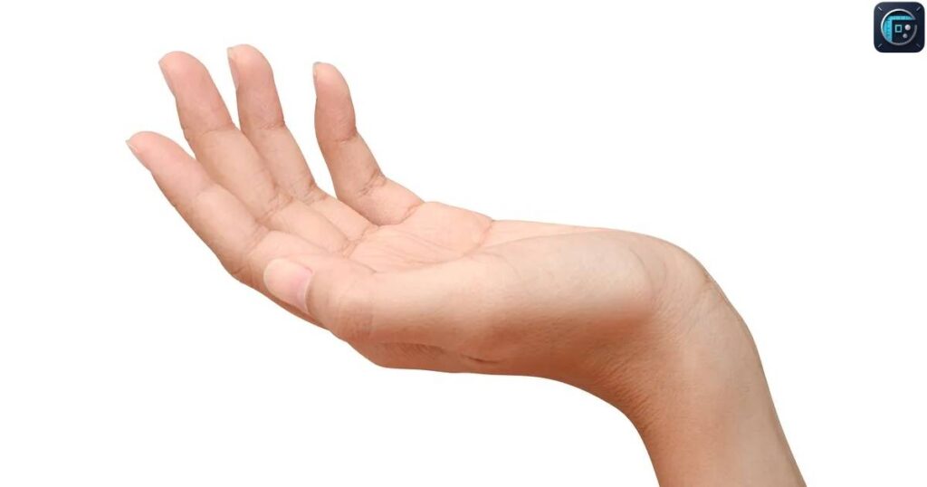 Hand Size
