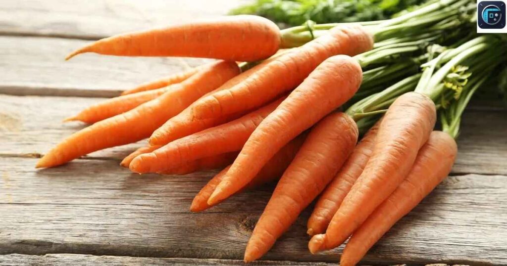 Large Carrot
