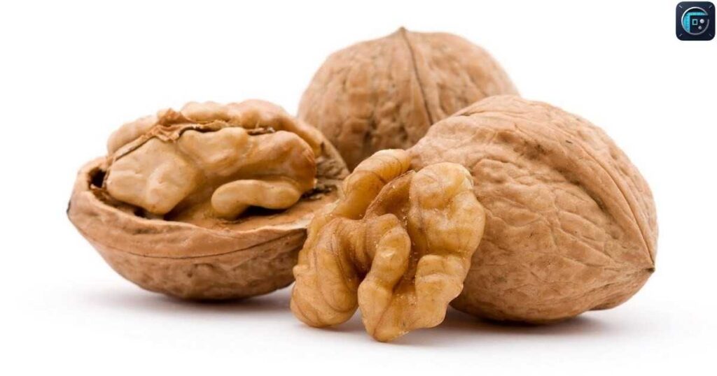 Large-sized Walnut
