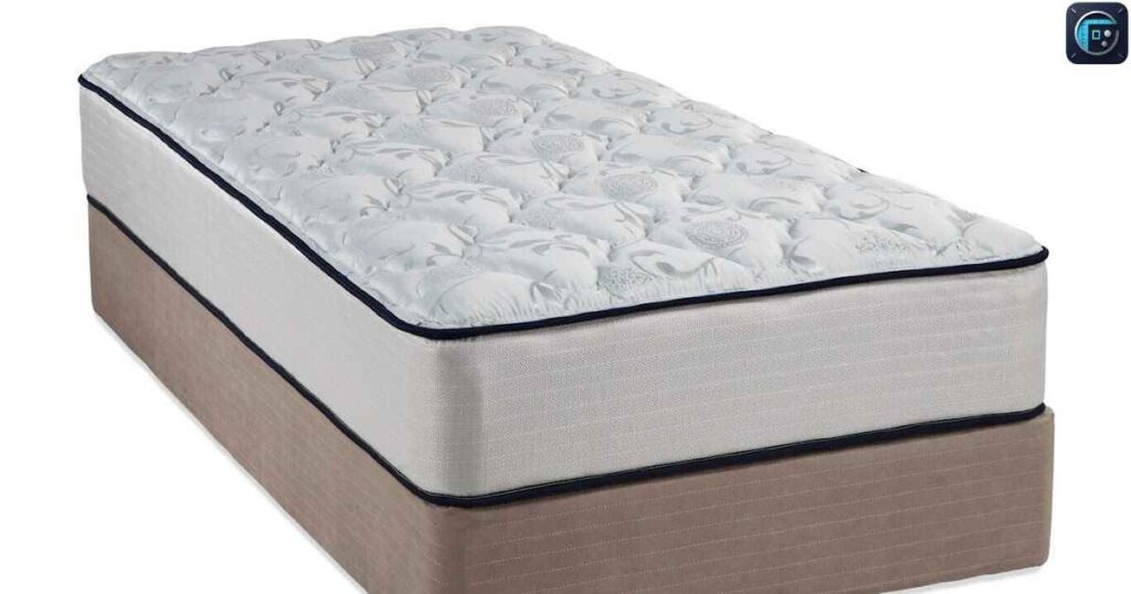 Length of a Twin Mattress