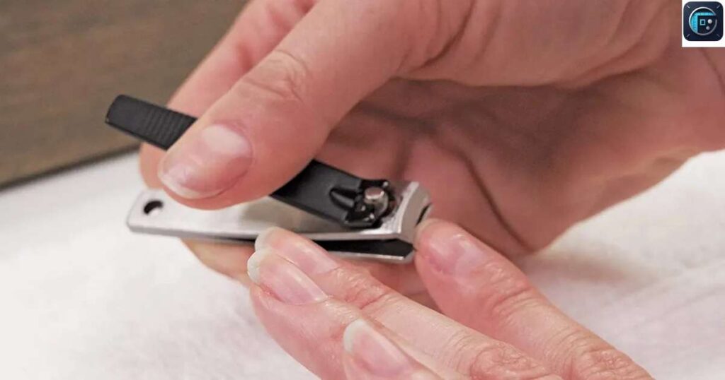 Nail Clipper
