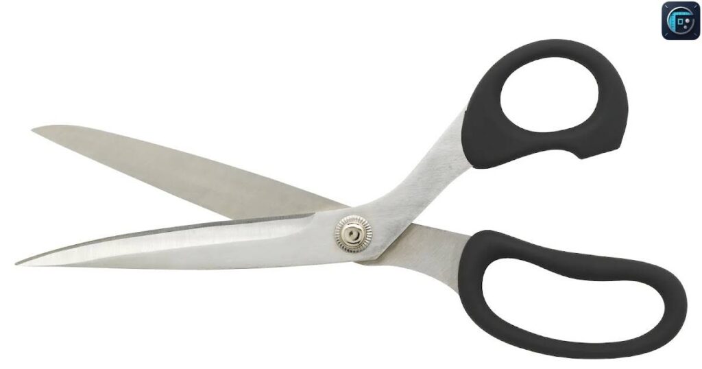 Office Scissors
