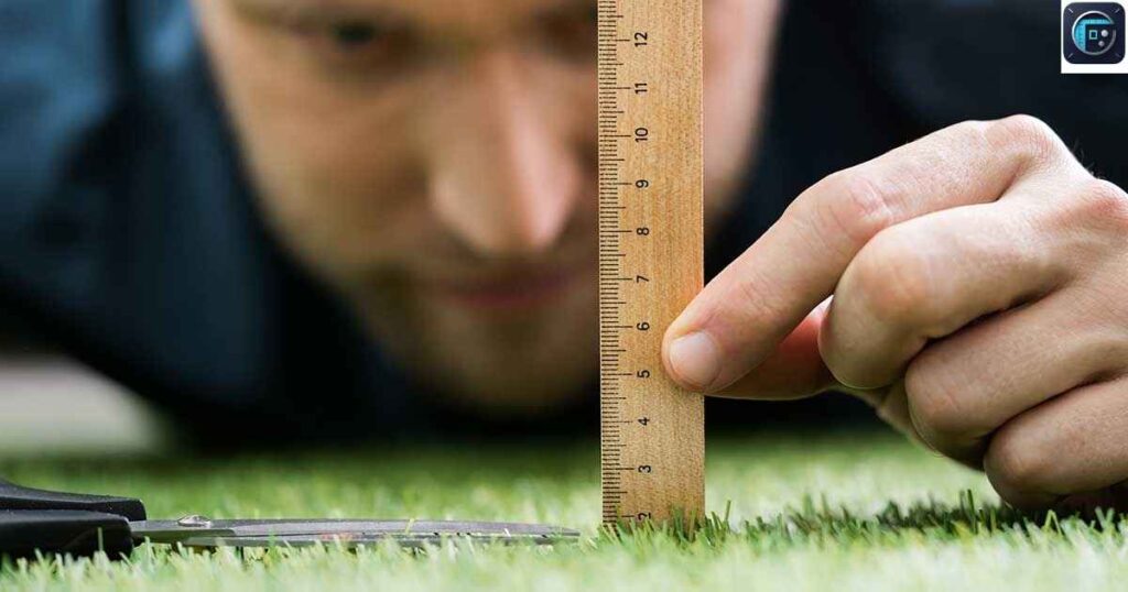 One and a Half Rulers
