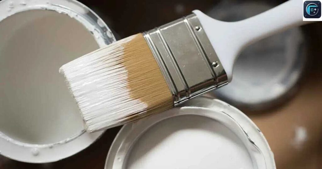 Professional Paint Brush
